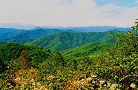 balsam mountain