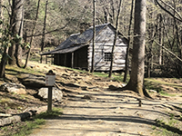 noah bud ogle place