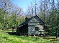 noah bud ogle cabin