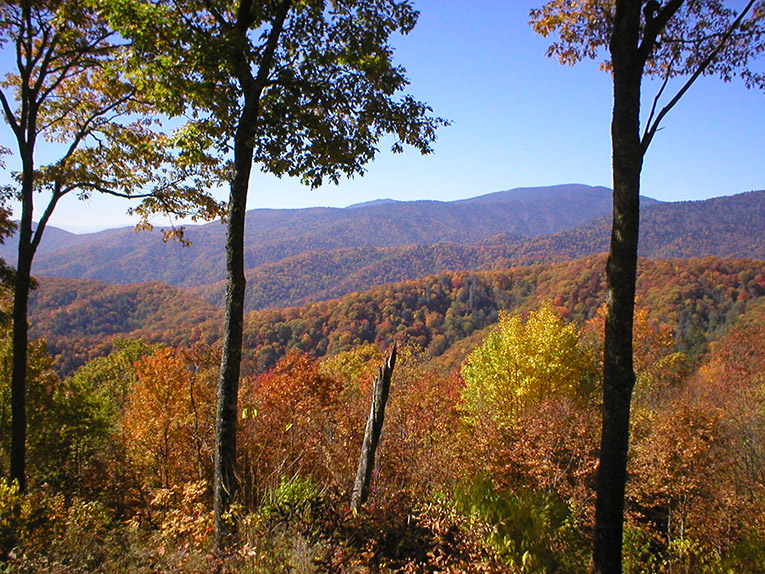 smoky mountain fall foliage