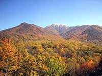 fall colors smoky mountains