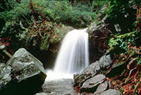 grotto falls