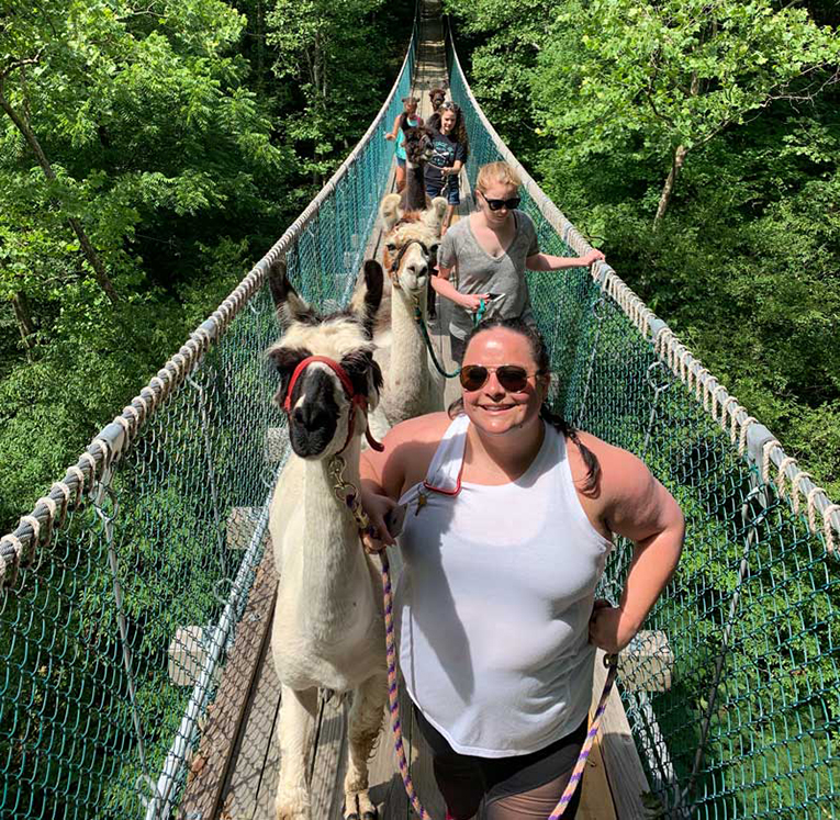 smoky mountain llama trekking