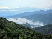 mountains