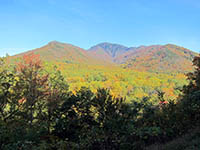 mount leconte