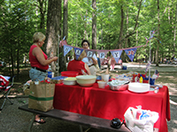 picnic area smoky mountains