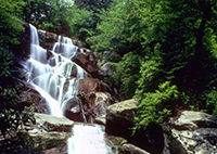 ramsey cascades