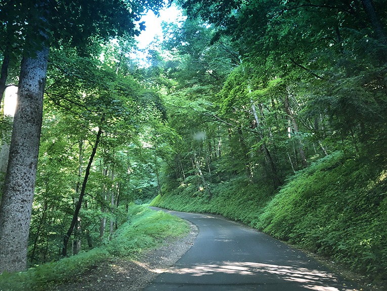 roaring fork motor nature trail