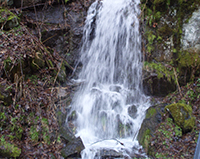 waterfalls great smoky mountains national park