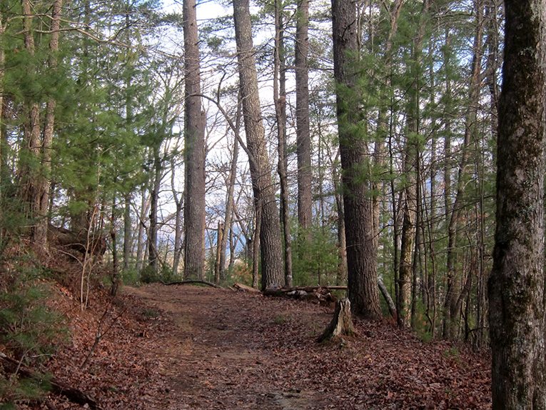 smoky mountain hiking trails