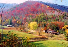 cataloochee