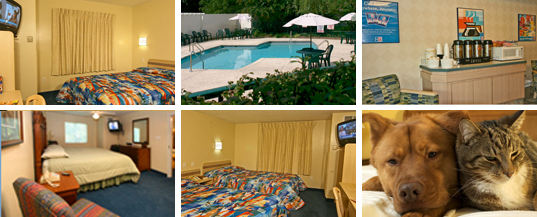 pigeon forge motel