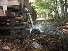 cable mill cades cove