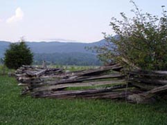fence