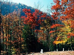 cataloochee cemetery