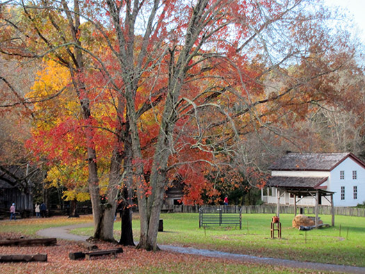 gregg cable house