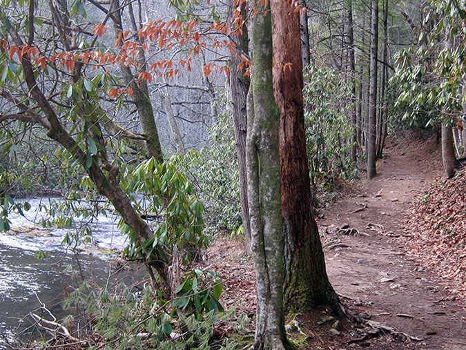 abrams falls trail