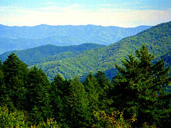 balsam mountain