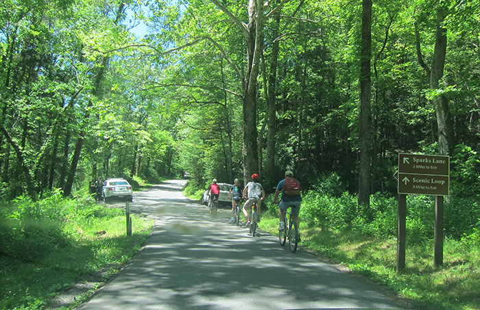 bicycle cades cove