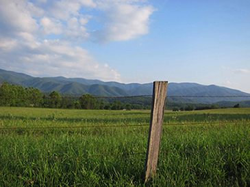 cades cove