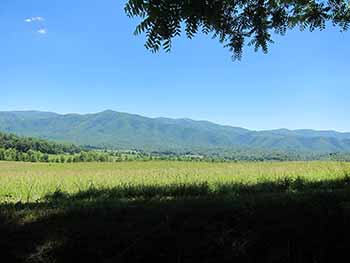 cades cove meadow