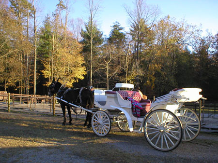 A Carriage Ride Through History