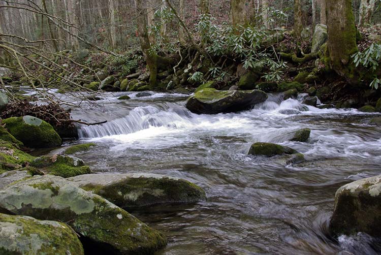 cataloochee campground