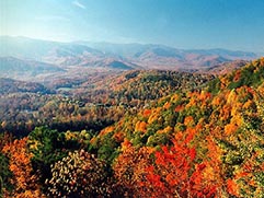 cataloochee overlook