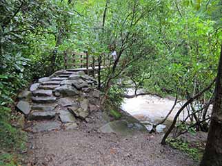 chimney tops trailhead