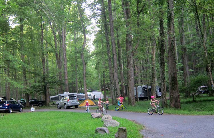 elkmont campsite