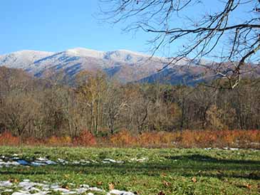 fall cades cove