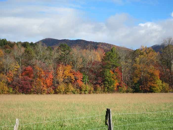 newfound gap road