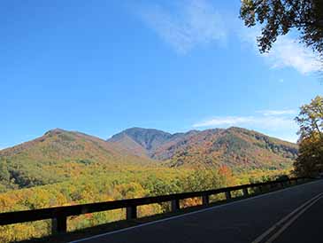 fall on hwy 441