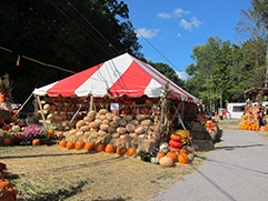 farmers market produce