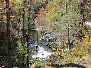 fall foliage at the sinks