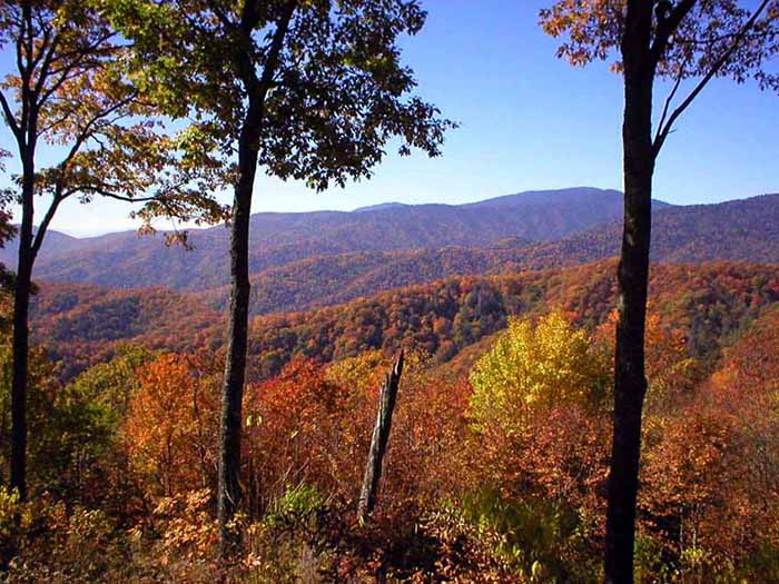 newfound gap road