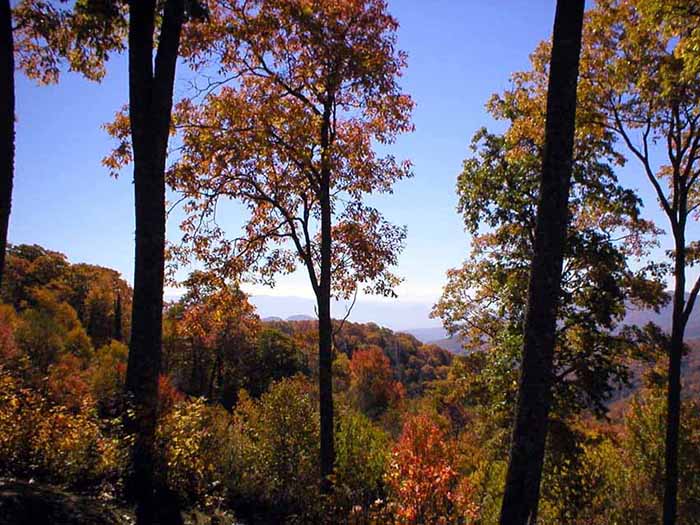 newfound gap road