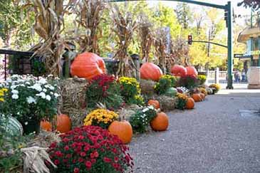 fall harvest festival