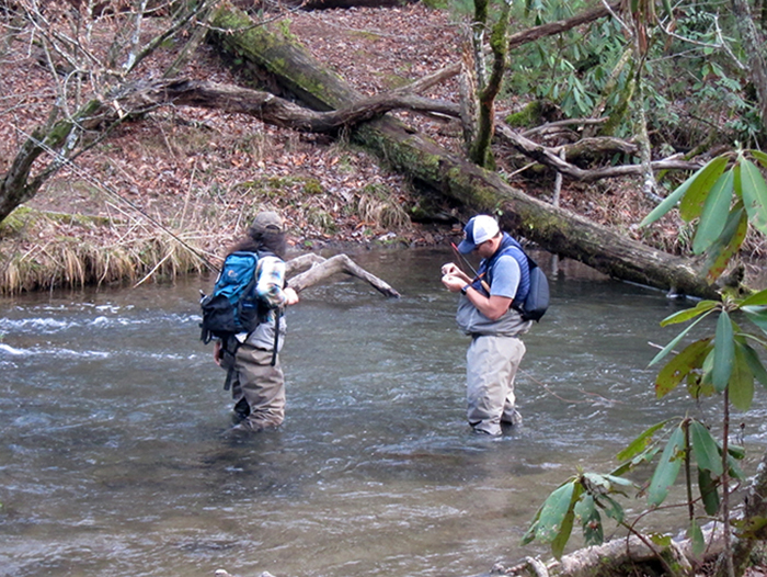 fishing