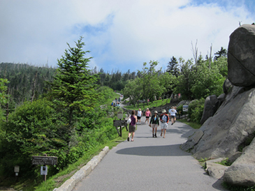 clingmans dome