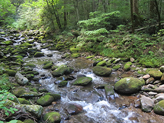 hiking river