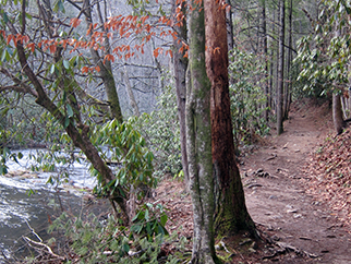 hiking trail