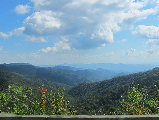 newfound gap road