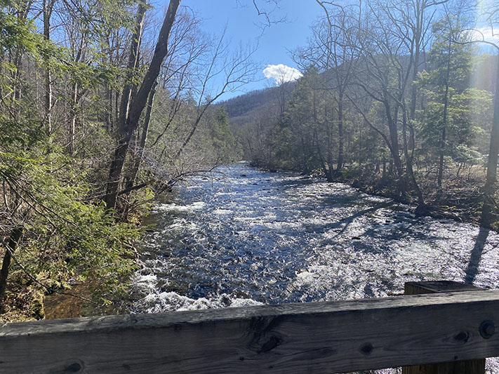 little river road