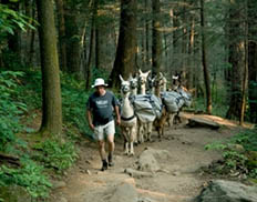 llama trek to mt leconte