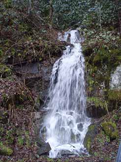 meigs falls