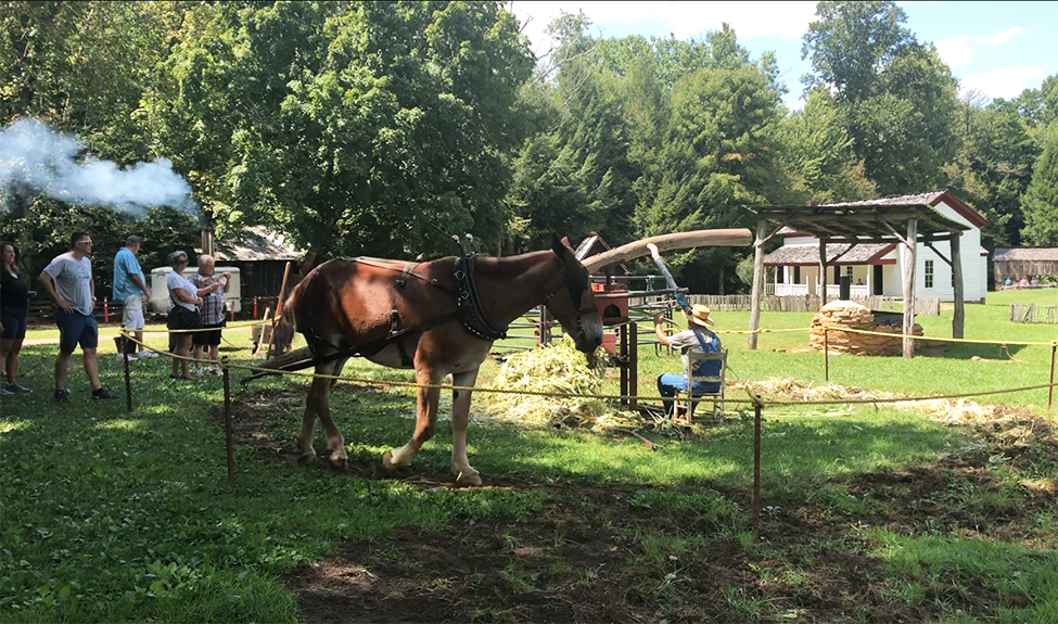 molasses making great smoky mountains