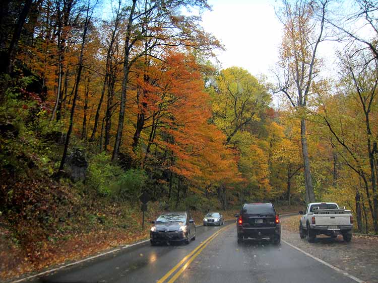 newfound gap road