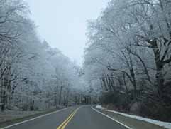 newfound gap road