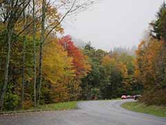 newfound gap road